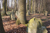 Alter Park vom Schloss Kaarz