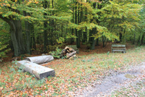 Rastplatz im Wald nach Kaarz