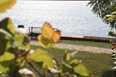 Mecklenburg