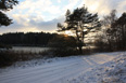 Mecklenburg