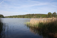 Mecklenburg