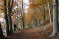 Mecklenburg