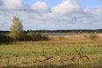 Mecklenburg