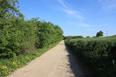 Mecklenburg