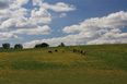 Mecklenburg