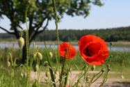 Warum nach Mecklenburg